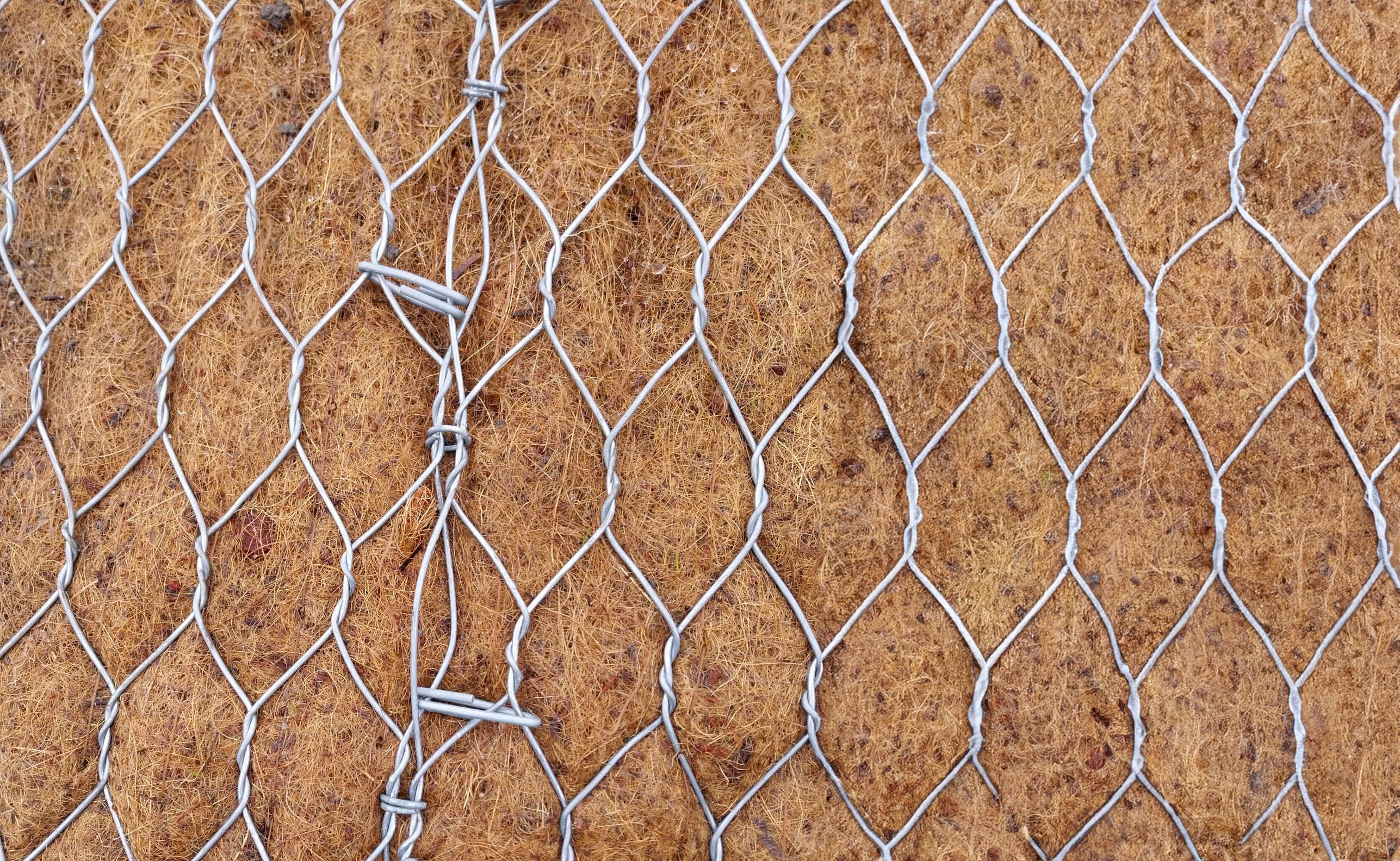 Mesh